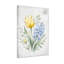 Plantes et fleurs, tulipe jaune et jacinthe bleue-1817284329-1817284330-1817284334