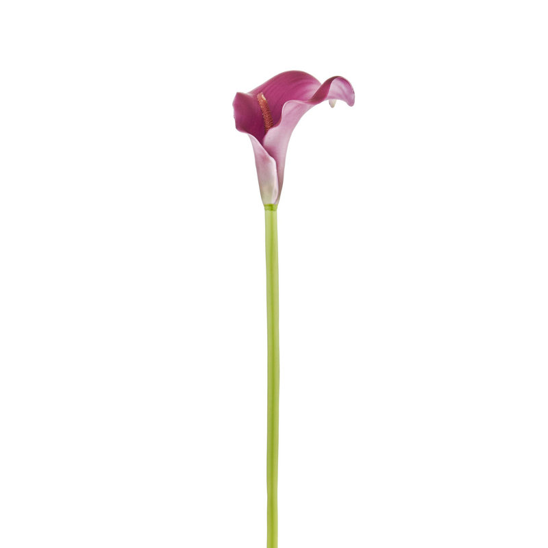 Arrangement floral d'hibiscus dans un vase
