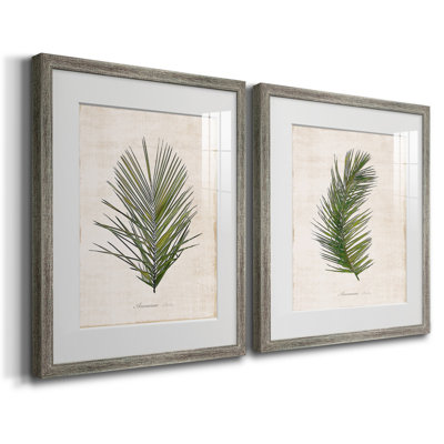 Palm Botanical I - reproduction encadrée de qualité supérieure - prête à être accrochée