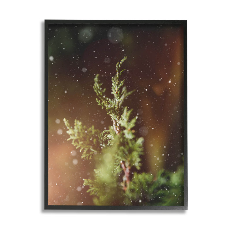 Hiver neige tombée nuit pin à-261, Giclée encadrée noir minuit, H 14 po x l 11 po x P 1,5 po