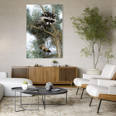 Raccoon Abstract Contemporary Pine Animal Nature Wall Art
