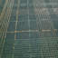 Papier peint mat texturé écossais mat vert foncé avec lignes métalliques dorées