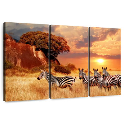 Zèbres Brampt Savanna