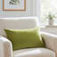Pistachio Love Pillow Cover & Insert-400448272-400448286-313714102