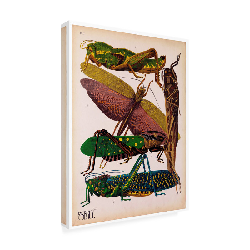 Insectes, plaque 16 sur toile, H 19 po x l 14 po x P 2 po