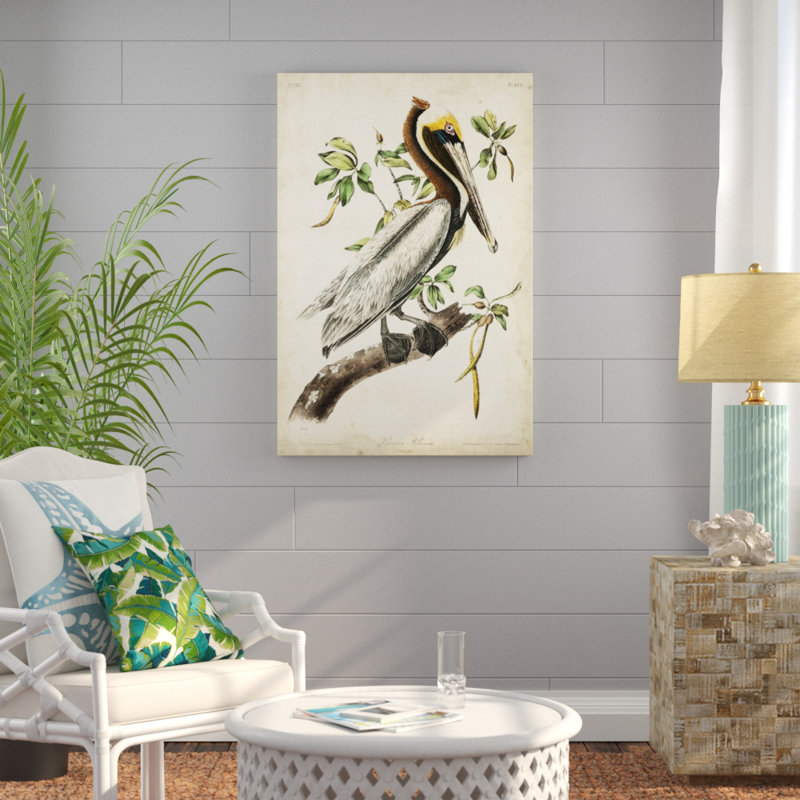 Brown Pelican by James Audubon - Painting Print, Wrapped Canvas, 30cm H x 20cm W