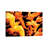 Phoenix Dawn by Ruth Thompson - Gallery-Wrapped Canvas Giclée on Canvas-1888703535-1888703532