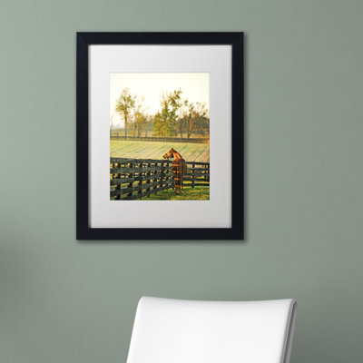 " Kentucky Horse Sunrise " Acrylic Print