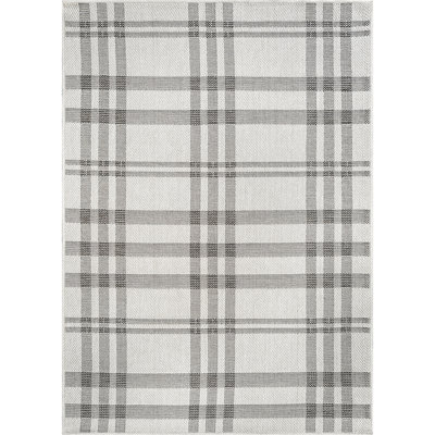 Indoor Outdoor Area Rug