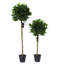 Anlin 120cm Faux Bay Tree in Pot