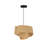 Carlotta Pendant Light-111000329