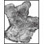 Tillamook Driftwood Print-674304142-674304143