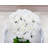 Hydrangea Arrangement