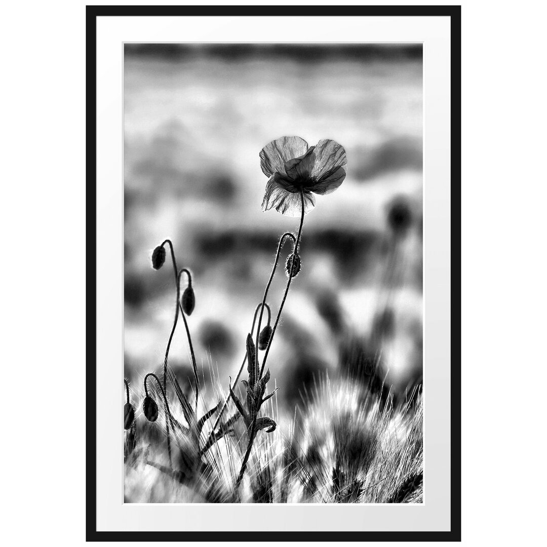 Gerahmtes Poster Blumen im Feld Tulpen