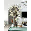 Arrangement in Vase
