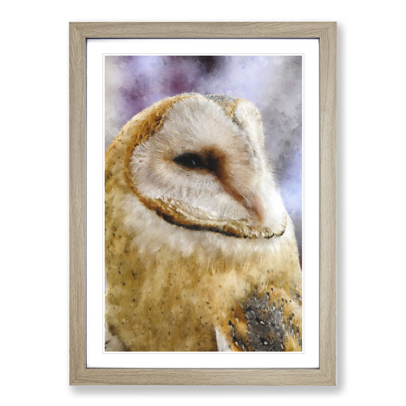 Barn Owl Vol.4 - Picture Frame Painting, Oak Framed, 36cm H x 27cm W x 2cm D
