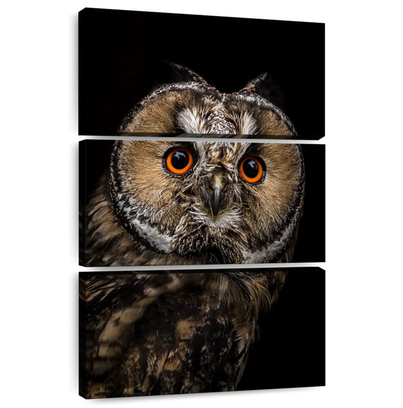 Brampt Eurasian Owl, 32" H x 20" W