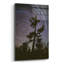 «Polaris Pine» par Thomas Haney, art mural en verre acrylique-732224953