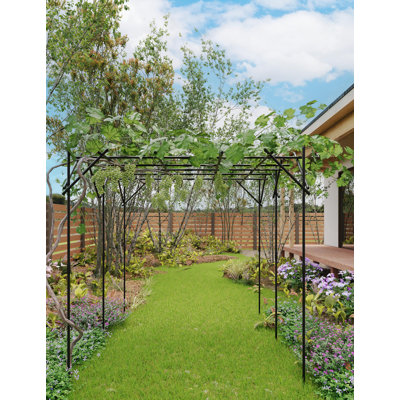 Sturdy Metal Garden Arch Trellis for Climbing Plants – Outdoor Floral Backdrop Frame, Wedding, Party, Ceremony & Event Décor, 47 x 59 x 95 Inches, Plant Support Structure, Flat Top