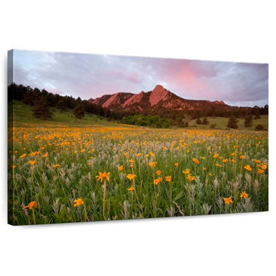 Chautauqua Park Flower Field
