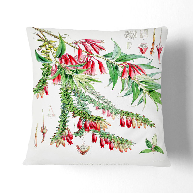Floral Square Throw Cushion, 55cm H x 55cm W x 20cm D
