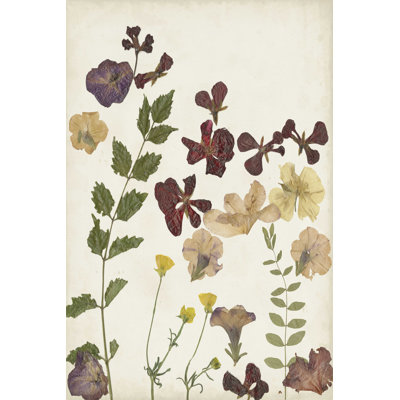 Arrangement de fleurs pressées V