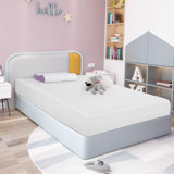 Winston Porter Howliet Plush Gel Memory Foam Mattress