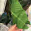 Customer photo 1 of 2