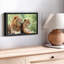 Animal «Couple de lion, art mural»-101779406