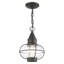 Lanterne suspendue d'extérieur 1 lumière H 9,75 po Rodolfo-1222937411