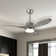 Aaronjames Ceiling Fan with Light Kit