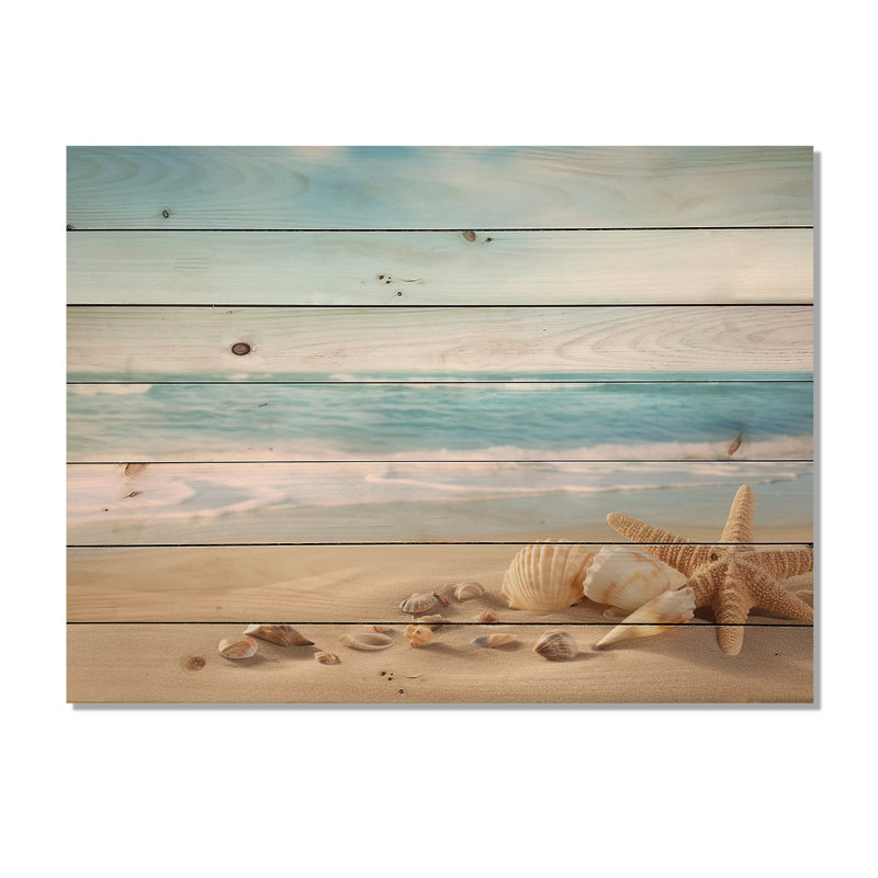 Étoile de mer et coquillages II - impression de paysage moderne sur bois de pin naturel, H 10 po x l 20 po x P 0,78 po