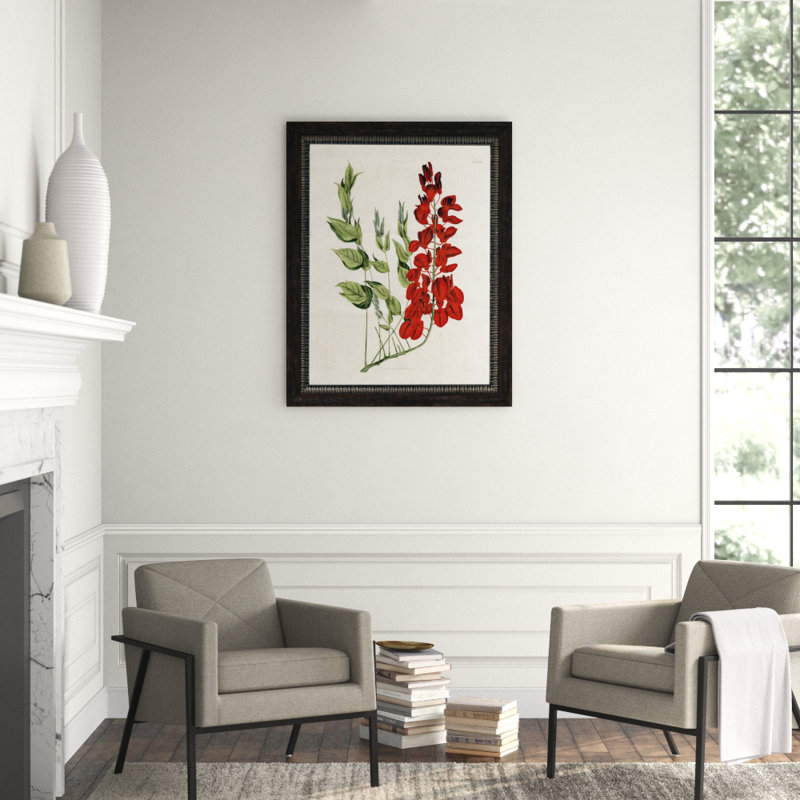 Large Red Botanical III Print