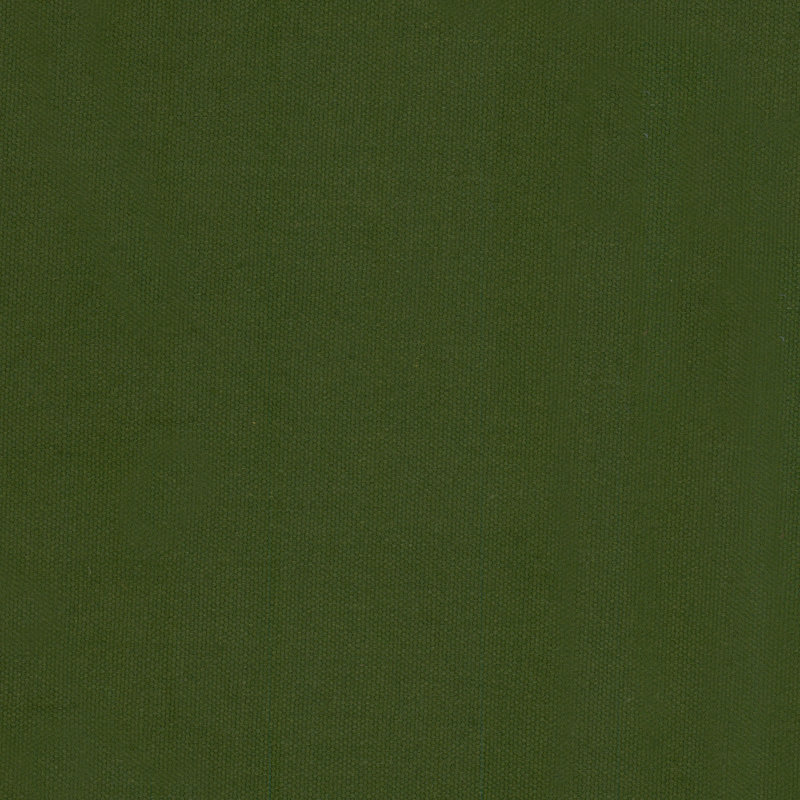 PLAIN FABRICS COLLECTION 2023 Abstract Fabric, Green