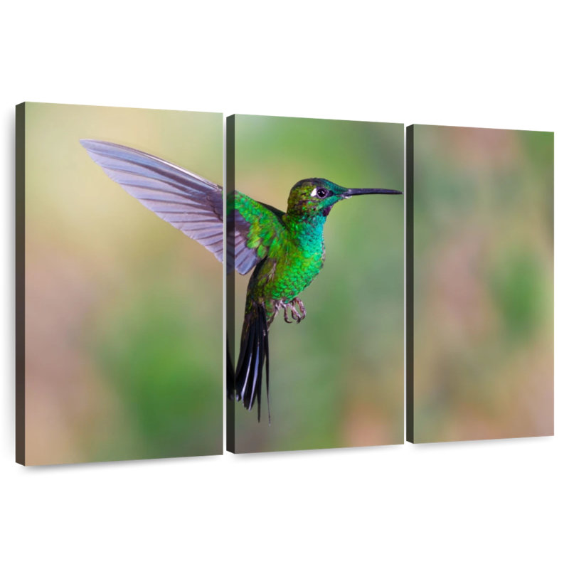 Brampt Green Fronted Hummingbird, 36" H x 57" W