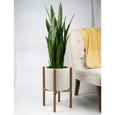 Jayzeon Handmade Pot Planter