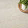 Sandy Indoor/Outdoor Area Rug