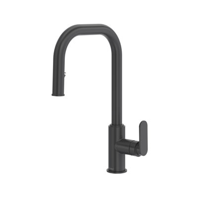 Arca Pull-Down Kitchen Faucet With U-Spout