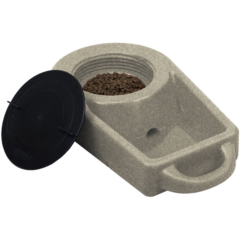 Bol d'alimentation Dakine 283 Dine N Dash, Coyote granit