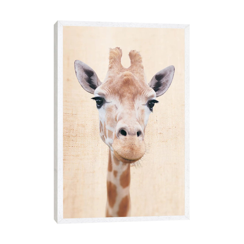 Manyara by Rachael Hale - Print on Canvas, 66.04 cm H x 45.72 cm W, White Framed