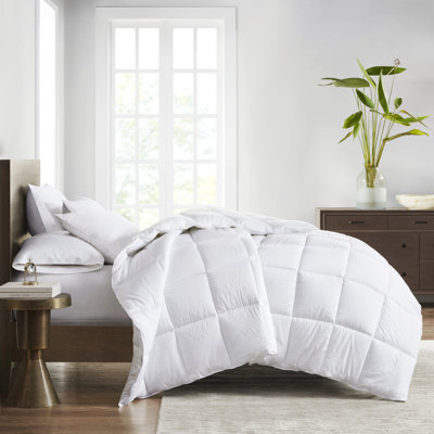 Édredon en duvet de coton Signature Dobby