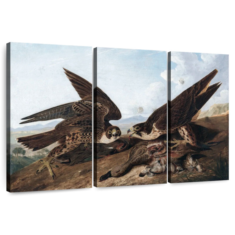 Brampt Peregrine Falcons, 28" H x 45" W