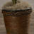 Areca Palm Silk Tree