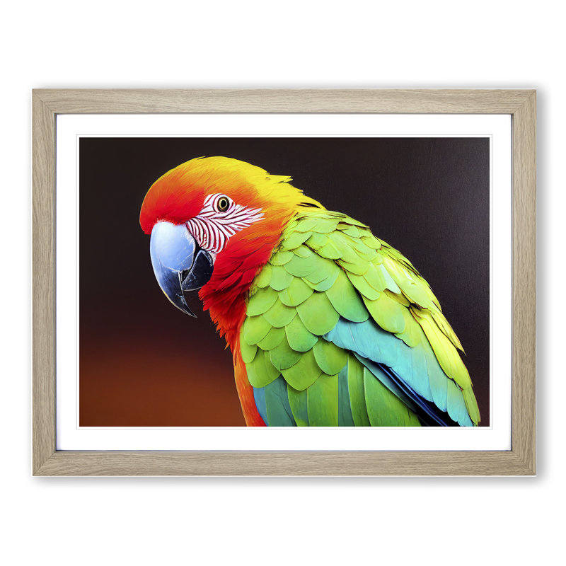 XH1022-6794X Parrot Portrait Vol.3 1 Piece Single Picture Frame Wall Art, 25cm H x 34cm W x 2cm D, Oak