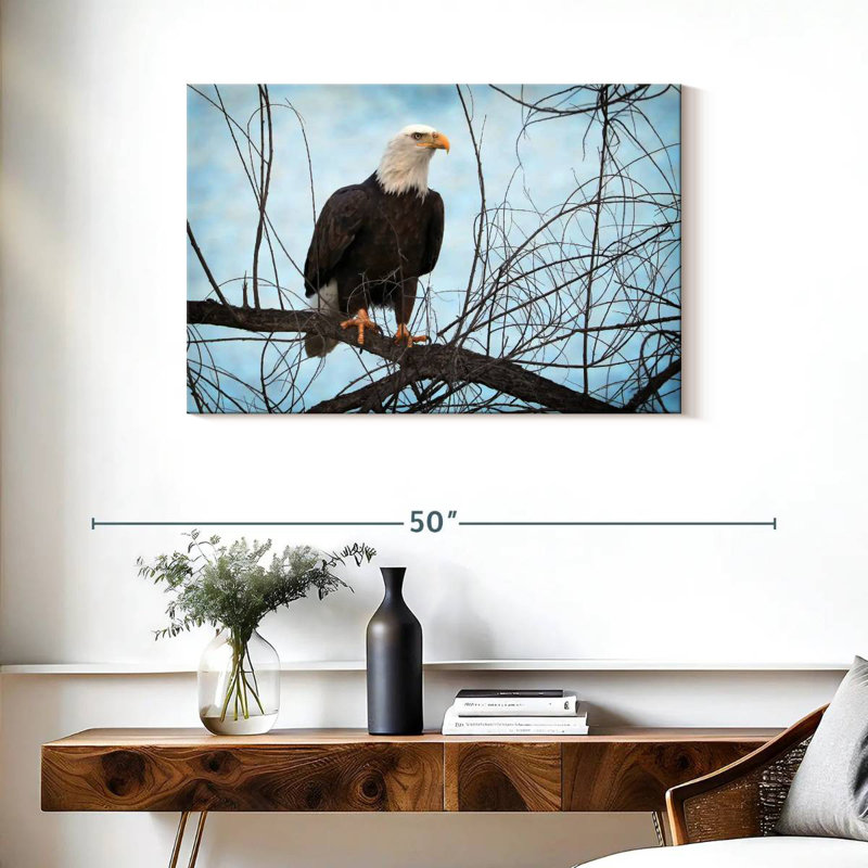 Portrait d'un aigle à tête blanche Brampt, H 24 po x l 36 po