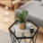 Arshaluys Glass Top End Table Set
