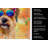 Cairn Terrier Hippie Dawg Kitchen Towel