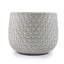 Pot de fleurs-479121824