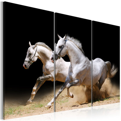 Horses Power and Velocity 3 Piece Wrapped Canvas Wall Art Set