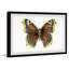 Bright Blue Spots by Marmont Hill - Single Picture Frame Painting-1399008601